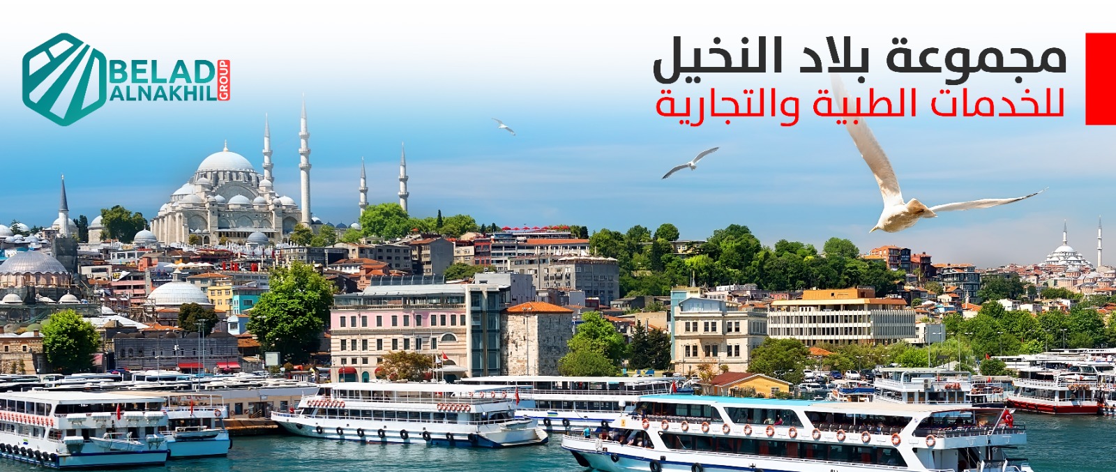 مجموعة بلاد النخيل التجارية