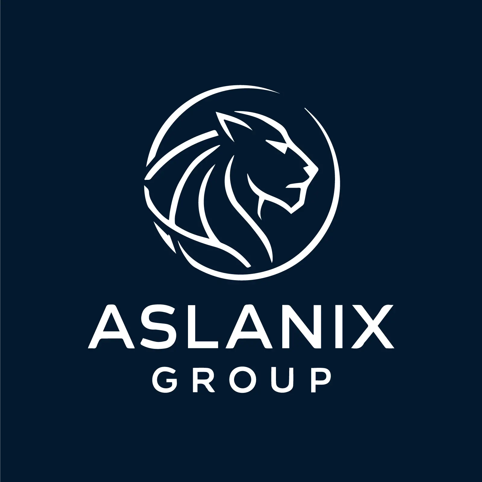 Aslanix Group